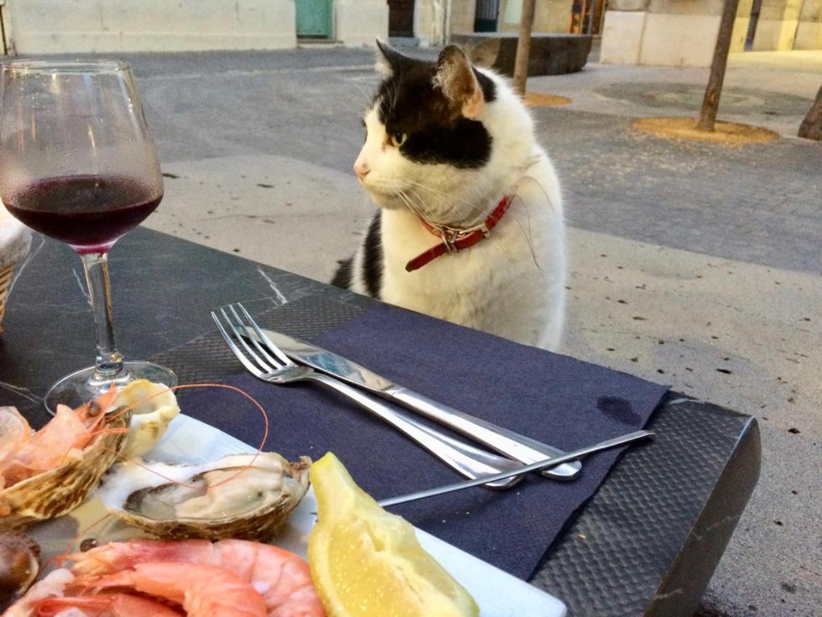 Beach, Wine, Dining, Sports, Summer, Winter Daire Sérignan Dış mekan fotoğraf