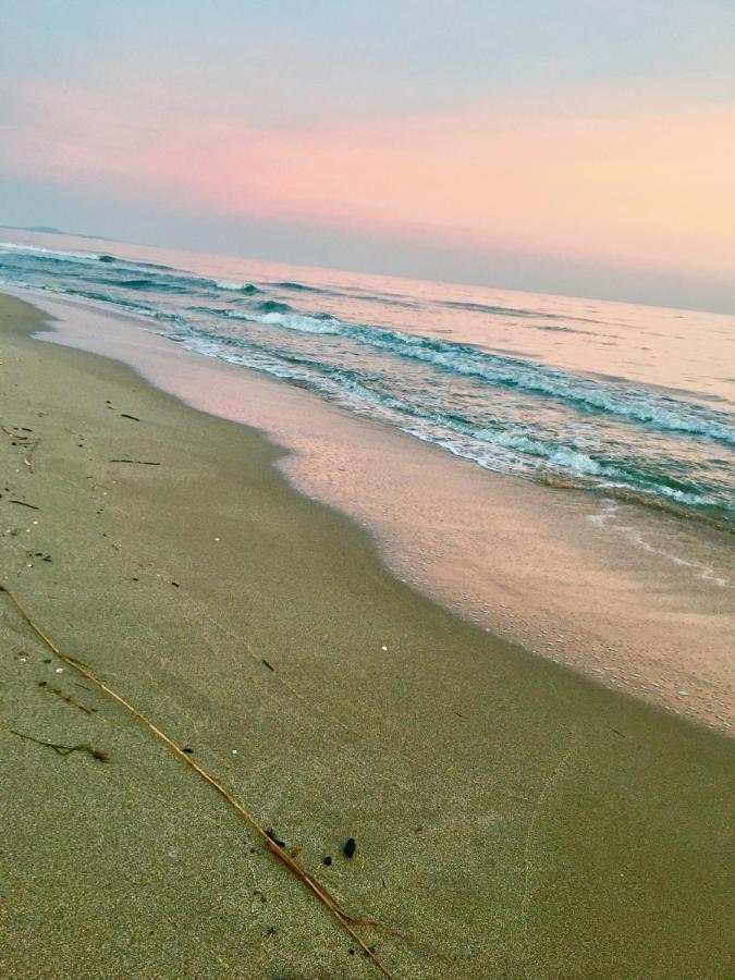 Beach, Wine, Dining, Sports, Summer, Winter Daire Sérignan Dış mekan fotoğraf